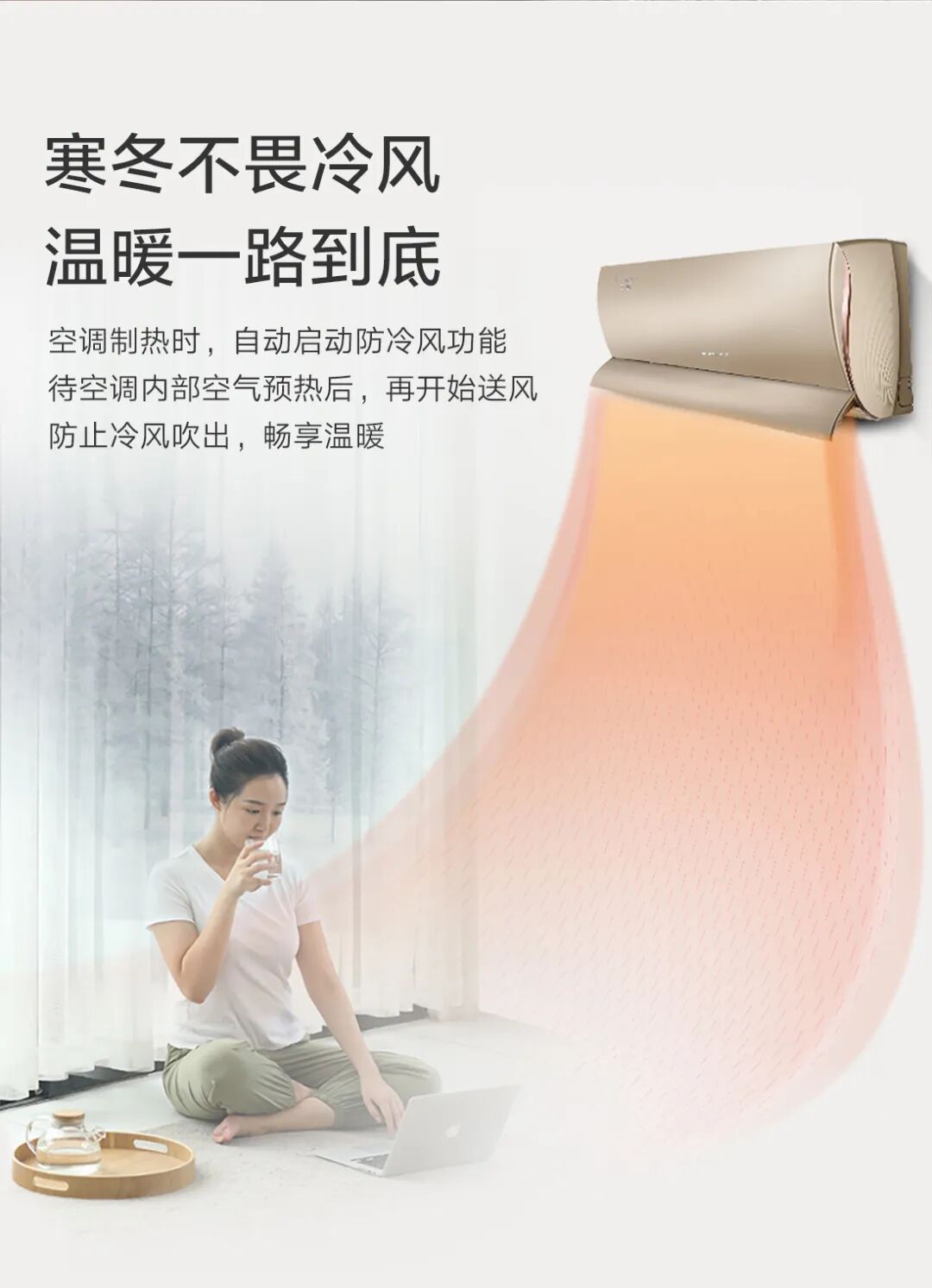 格力 U雅挂机（奢华金）